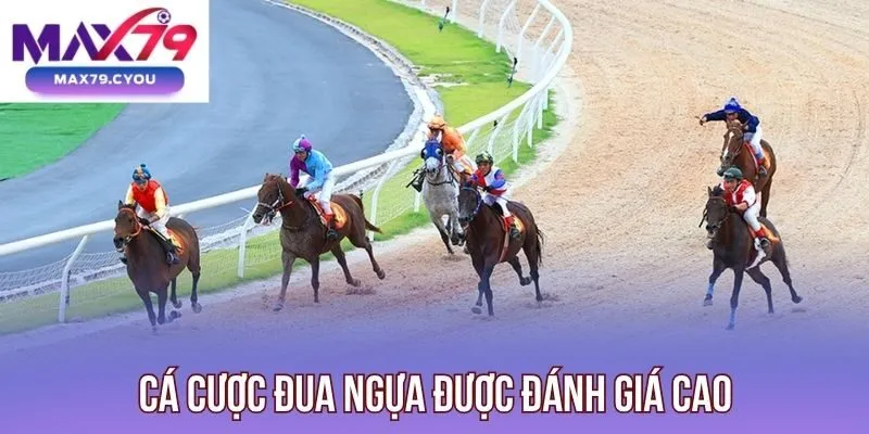 Cá cược đua ngựa được đánh giá cao