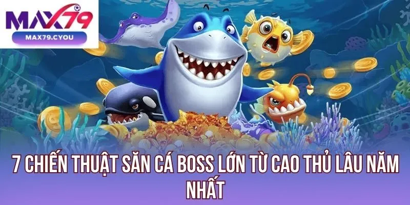 chiến thuật săn cá boss lớn