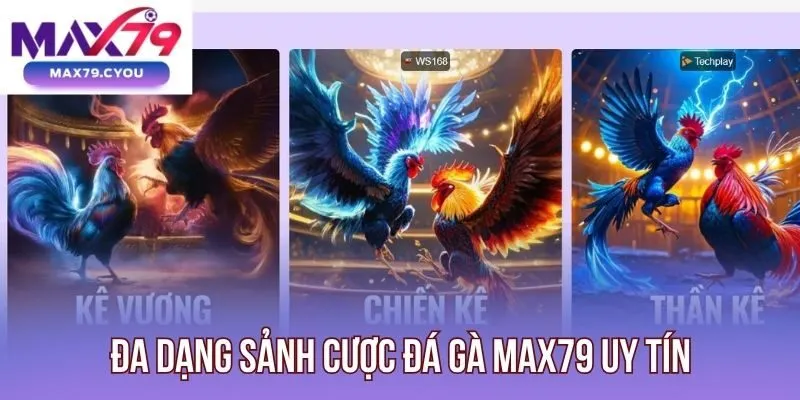 Đa dạng sảnh cược đá gà Max79 uy tín