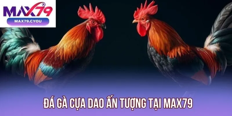 Đá gà cựa dao ấn tượng tại Max79